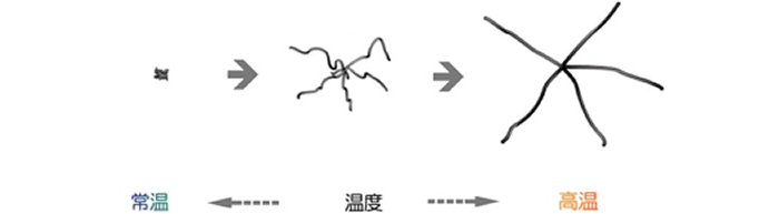 “図説”